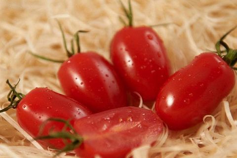 variedad de tomate