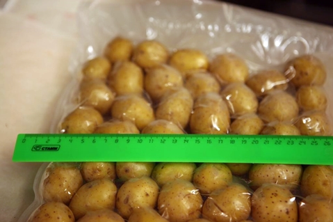 patatas congeladas en una bolsa