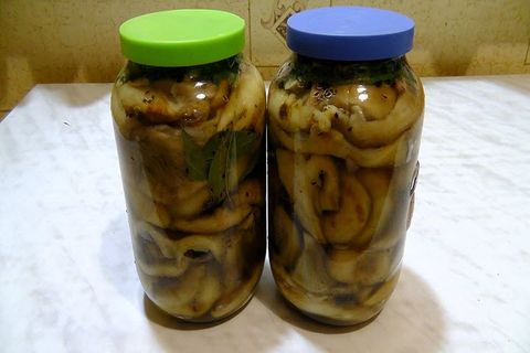 mushrooms in a jar