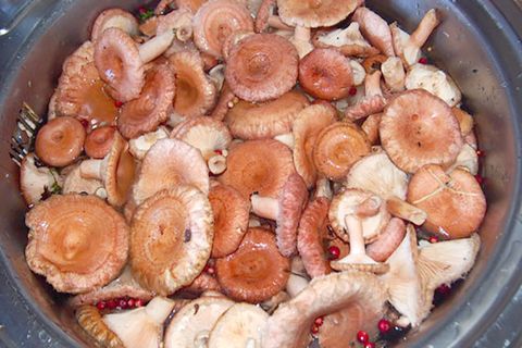 mushrooms in a saucepan