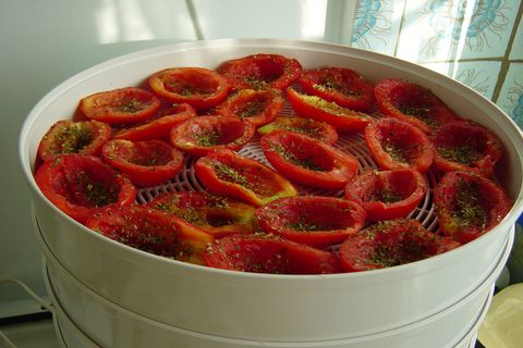 Recipe for cooking sun-dried tomatoes for the winter in a vegetable dryer