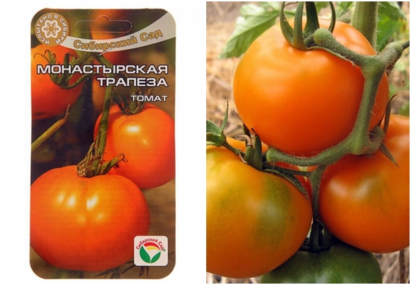 Graines de tomates Monastic Meal