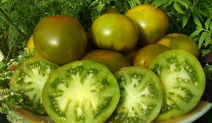 Characteristics and description of the tomato variety Emerald apple, its yield