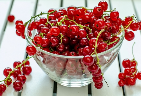 groseilles rouges dans un bol