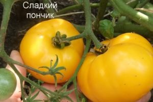 Characteristics and description of the tomato variety Sweet donut, its yield