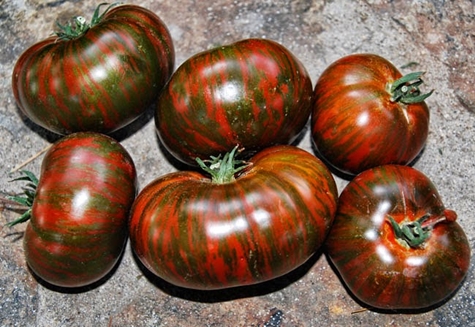 apariencia de chocolate rayado con tomate