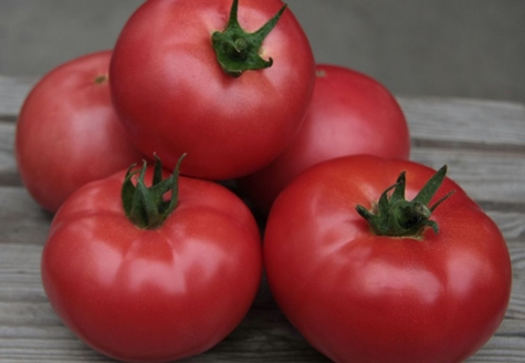 tomate kibo en la mesa