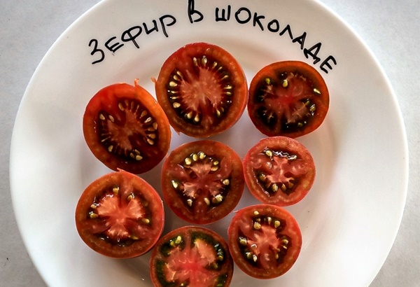 Guimauve tomate au chocolat sur une assiette