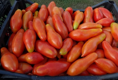 une boîte pleine de tomates