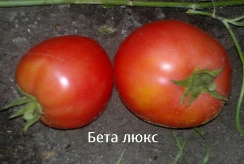 two tomatoes