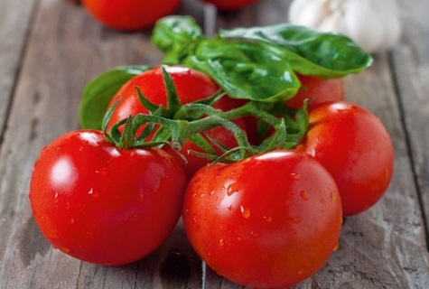 tomato still life