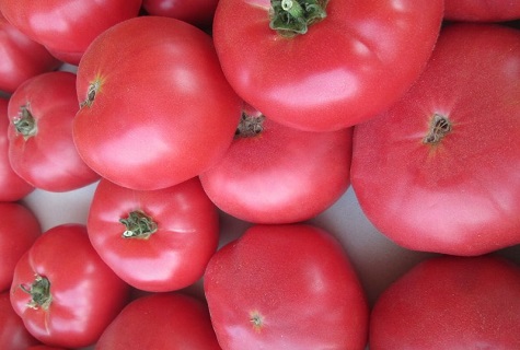 tomates pour la sélection