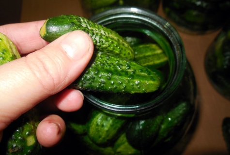 pepinos en escabeche en la mano