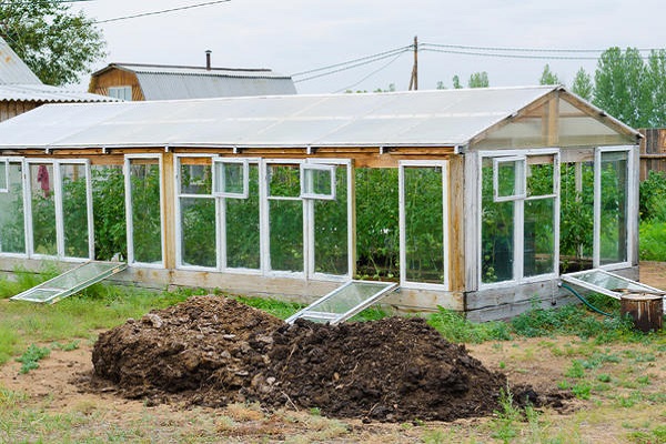 serre dans le jardin