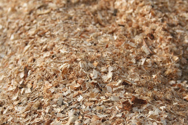 sawdust like green manure