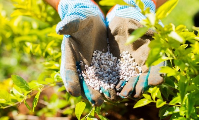 soil enrichment