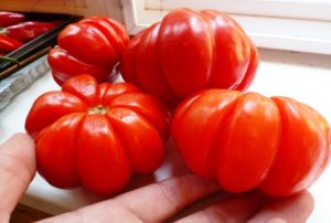 Description et caractéristiques de la variété de tomate Lorraine Beauty