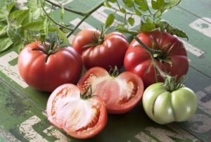 Ciri dan keterangan mengenai varieti tomato Marmande, hasilnya