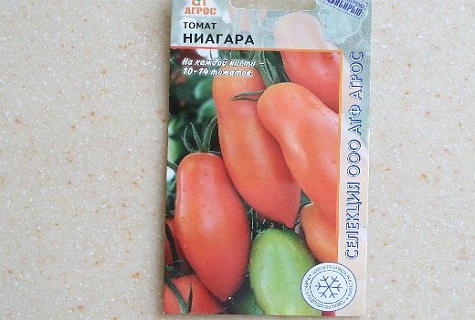 biji tomato Niagara