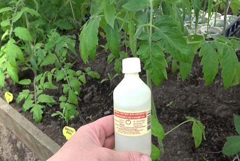 médicament pour la tomate