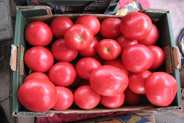 boîte de tomate