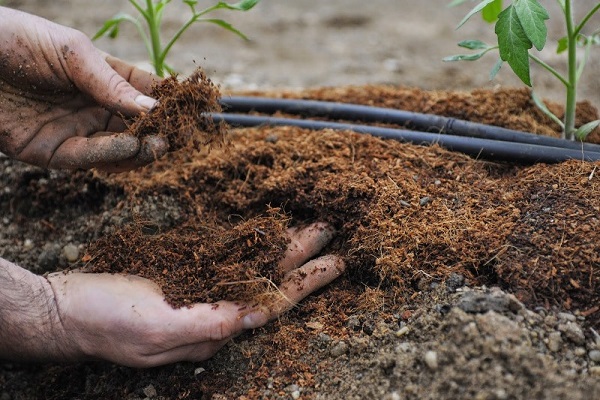 fertilizer underground