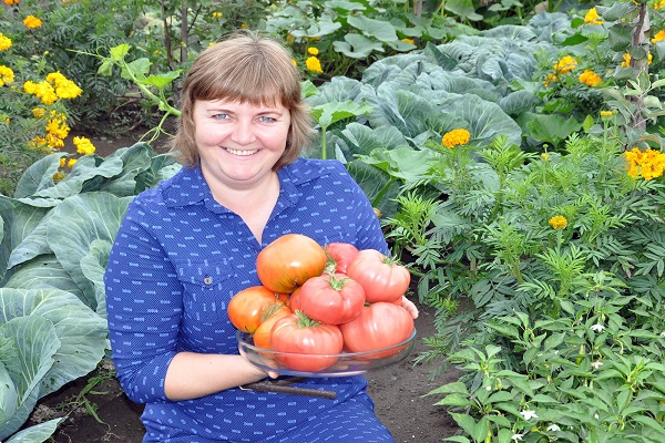 tomate émouvante