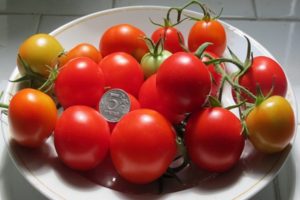 Características y descripción de la variedad de tomate Schelkovsky temprano.