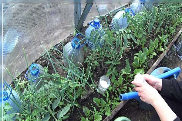 fertilizer in a glass