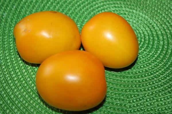 Siberian tomato