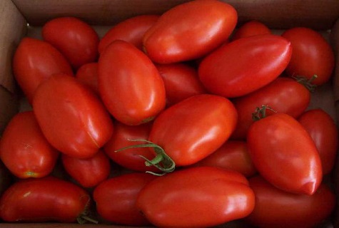 a handful of tomatoes