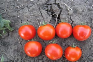 Description et caractéristiques de la variété de tomate Aswon