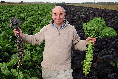 man with cabbage