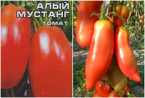 tomato seeds Scarlet Mustang