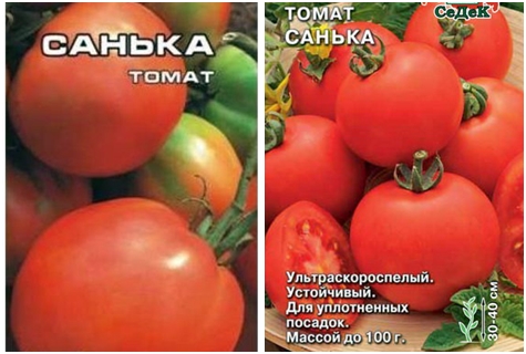 variedad de tomate Sanka F1