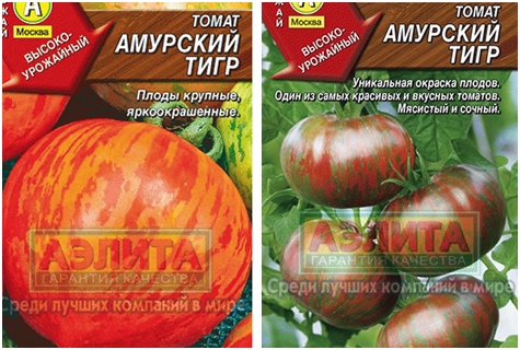 graines de tomates amur tiger