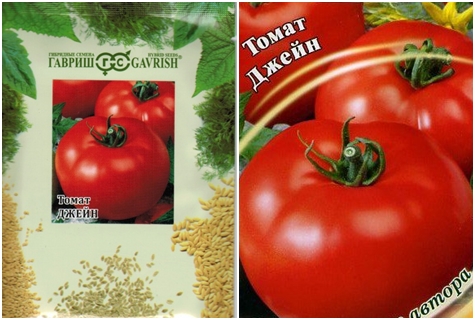 tomato seeds jane