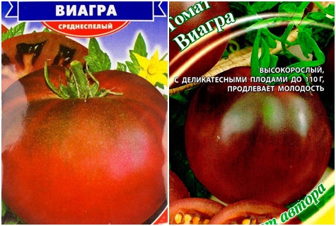 biji tomato viagra