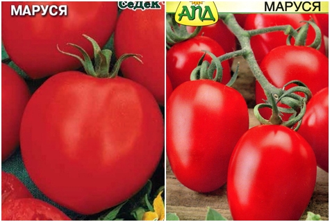 semillas de tomate marusya