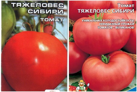 semillas de tomate siberia de peso pesado