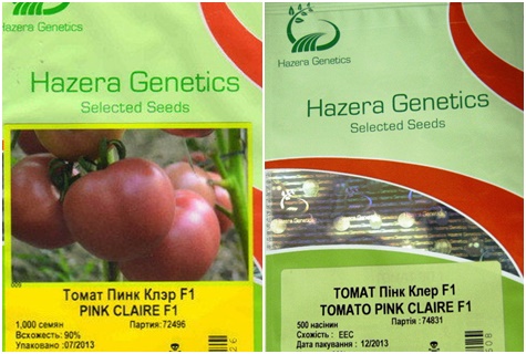 tomato seeds Pink Claire