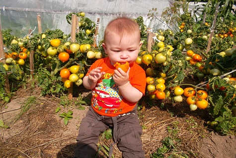 niño en el jardín