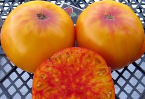 Description and Cultivation of Tomato Variety Virginia Candy