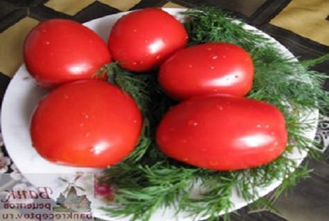 verduras en un plato