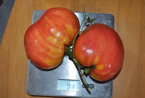 verduras en la balanza