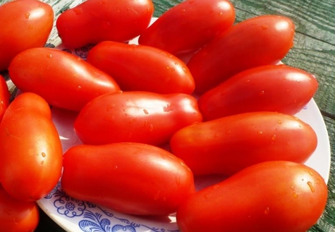 apparence de tomates doigts de dames