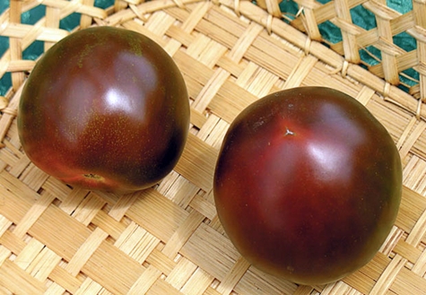 Viagra tomatoes in a basket