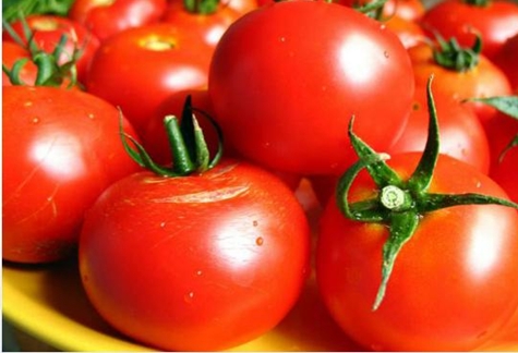 quiz sur la variété de tomates