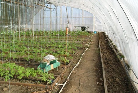 large greenhouse