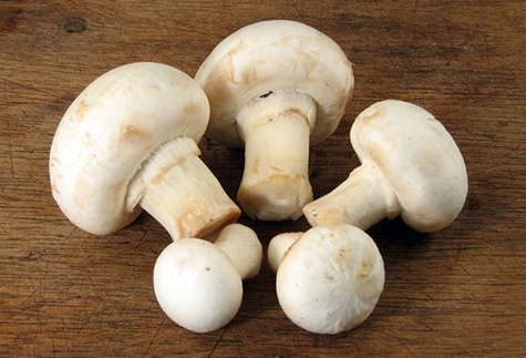 champignons frais